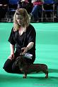 Crufts2011_2 803